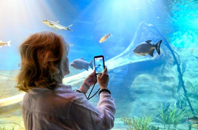 Bioparque Pantanal está fechado para manutenção e reabre dia 9 Bioparque Pantanal está fechado para manutenção e reabre dia 9 de janeiro