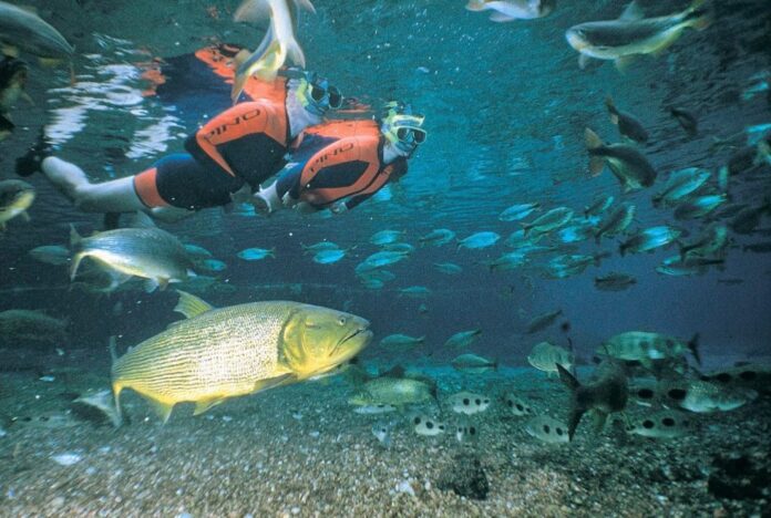 Com investimentos do Governo de MS, Bonito registra recorde de turistas com mais de 313 mil visitantes