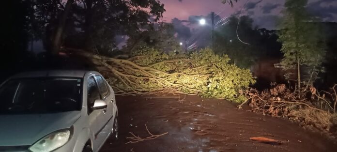 Período de chuvas acende alerta sobre os perigos dos acidentes Período de chuvas acende alerta sobre os perigos dos acidentes elétricos dentro e fora de casa