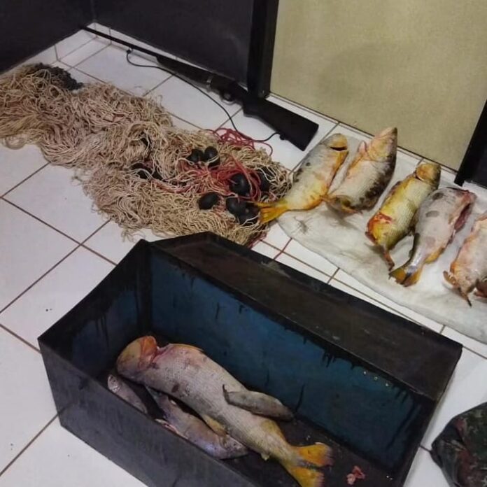 Polícia Civil aperta o cerco contra caçadores e pescadores ilegais em Rio Negro