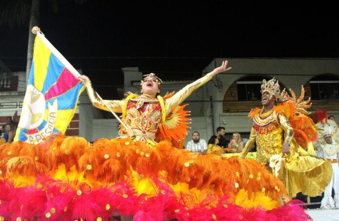 Agenda de Carnaval: desfiles das escolas de samba e blocos de rua tomam conta da programação