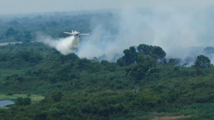 Com atuação coordenada por terra e ar, bombeiros de MS Com atuação coordenada por terra e ar, bombeiros de MS controlam incêndio no Pantanal