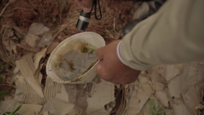 Guerra ao mosquito: Defesa Civil de MS vai atuar para Guerra ao mosquito: Defesa Civil de MS vai atuar para combater focos de dengue na divisa com PR e SP