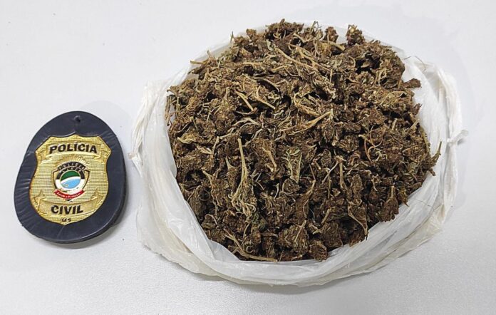 Polícia Civil prende em flagrante homem por tráfico de drogas Polícia Civil prende em flagrante homem por tráfico de drogas na cidade de Paranhos