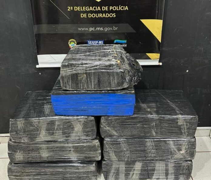 Polícia Civil prende homem com quase 200kg de maconha em Polícia Civil prende homem com quase 200kg de maconha em entreposto, no município de Dourados