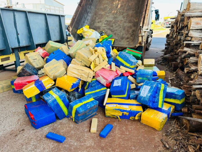 Polícia Civil realiza incineração de entorpecentes em Iguatemi Polícia Civil realiza incineração de entorpecentes em Iguatemi