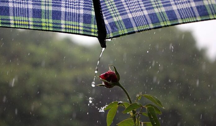 Segunda tem previsão de tempo instável, com chuvas isoladas em Segunda tem previsão de tempo instável, com chuvas isoladas em diferentes cidades