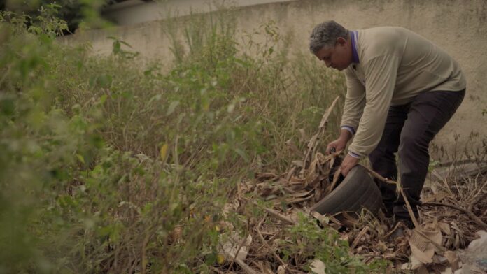 DIA D: MS participa de mobilização nacional para o combate DIA D: MS participa de mobilização nacional para o combate à Dengue