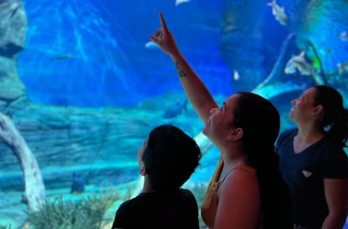Em comemoração ao segundo ano, Bioparque Pantanal abre inscrições para Em comemoração ao segundo ano, Bioparque Pantanal abre inscrições para Jornada de Pesquisa e Tecnologias