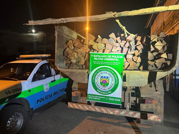 PMA de Miranda apreende carga ilegal de aroreira