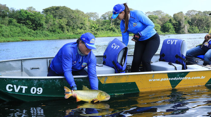 Pesca do dourado continua proibida nos rios de Mato Grosso Pesca do dourado continua proibida nos rios de Mato Grosso do Sul até março de 2025