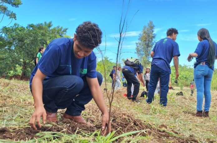 Projeto com estudantes de escola indígena realiza restauração de vegetação Projeto com estudantes de escola indígena realiza restauração de vegetação em Dourados