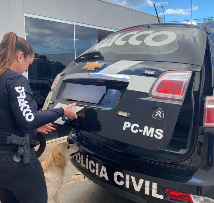 Polícia Civil do Mato Grosso do Sul prende foragido da Polícia Civil do Mato Grosso do Sul prende foragido da justiça de São Paulo