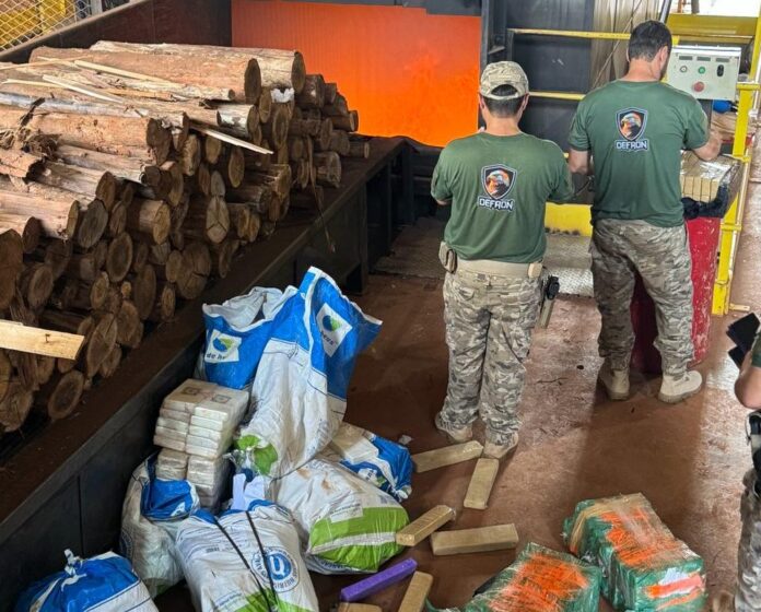 Polícia Civil incinera mais de duas toneladas de drogas em Dourados