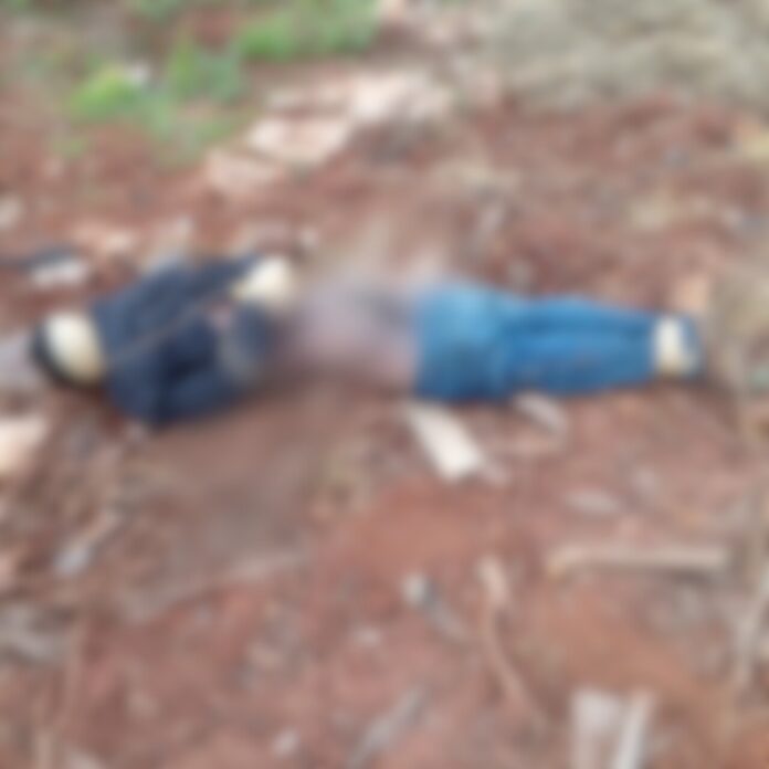 AC3C3854-4CB7-41ED-8EC4-ED964F6C58BC