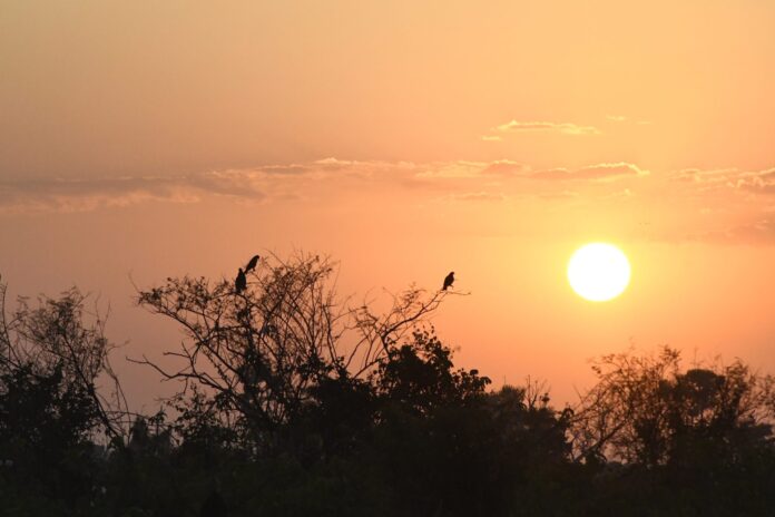 Com agravamento da seca na bacia do Pantanal, Agência Nacional Com agravamento da seca na bacia do Pantanal, Agência Nacional de Águas alerta para situação