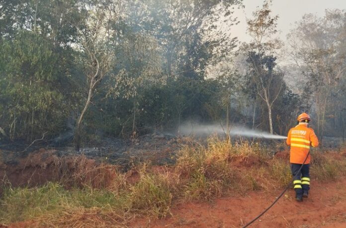 Com esforço concentrado, Corpo de Bombeiros combate incêndio florestal na Com esforço concentrado, Corpo de Bombeiros combate incêndio florestal na região de Itaquiraí