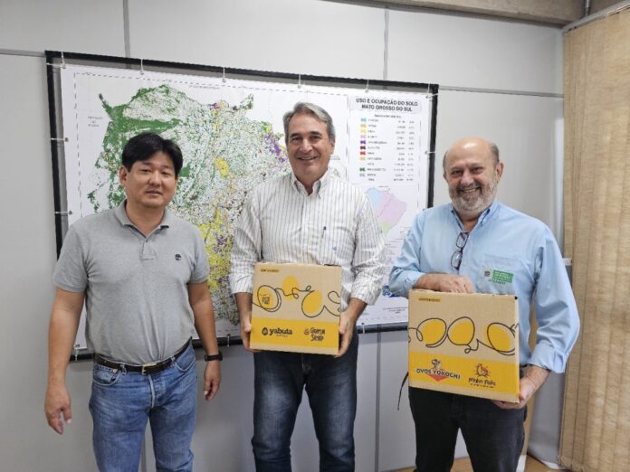 Com megaempreendimento, Mato Grosso do Sul pode se tornar um Com megaempreendimento, Mato Grosso do Sul pode se tornar um dos maiores produtores de ovos do País