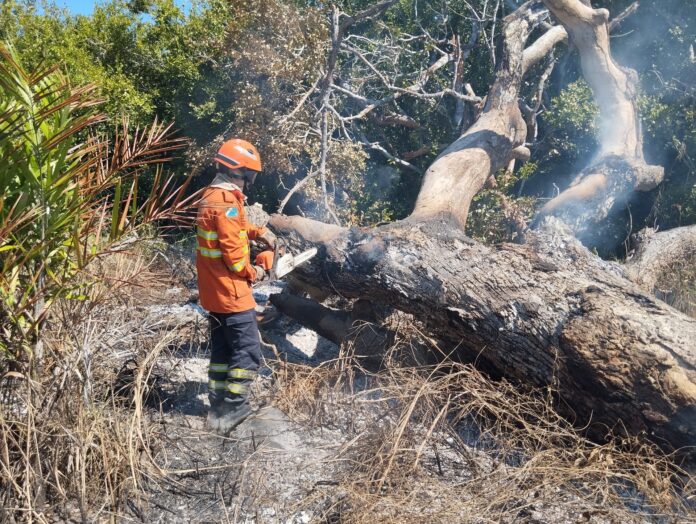 Incêndios florestais no Pantanal e em Naviraí mobilizam bombeiros de Incêndios florestais no Pantanal e em Naviraí mobilizam bombeiros de MS