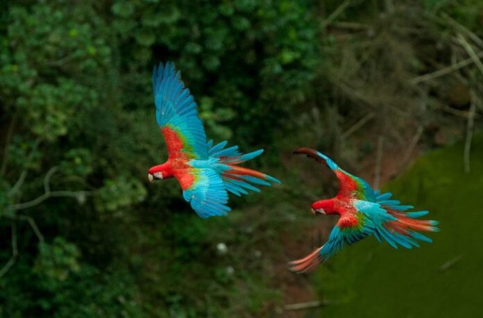 MS leva capacitação sobre seus destinos turísticos a profissionais do MS leva capacitação sobre seus destinos turísticos a profissionais do setor nos 30 anos de BNT Mercosul