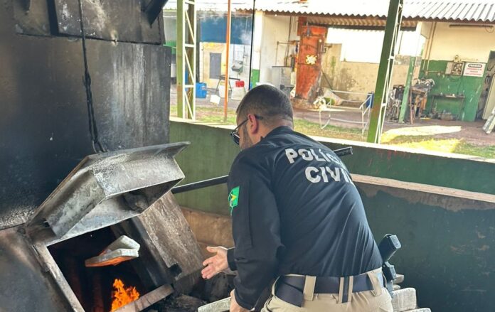 Polícia Civil incinera 1.600 kg de drogas em Dois Irmãos Polícia Civil incinera 1.600 kg de drogas em Dois Irmãos do Buriti