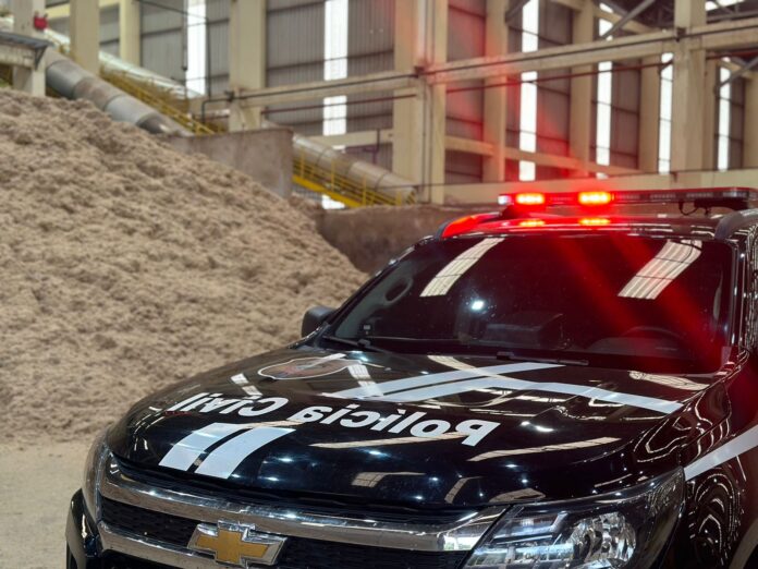 Polícia Civil incinera mais de 15 toneladas de maconha em Polícia Civil incinera mais de 15 toneladas de maconha em Dourados