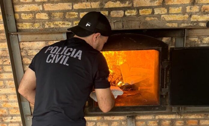 Polícia Civil realiza incineração de 500 kg de maconha em Polícia Civil realiza incineração de 500 kg de maconha em Juti