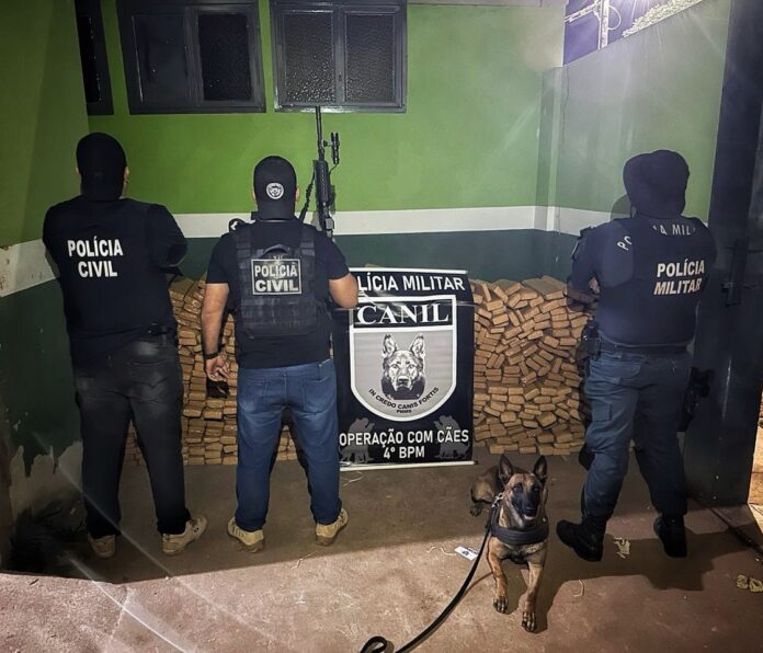 Ação policial apreende 831kg de drogas em Ponta Porã e resulta na prisão de um envolvido no crime