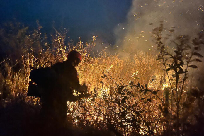 Combate aos incêndios no Pantanal de MS avança pela noite Combate aos incêndios no Pantanal de MS avança pela noite