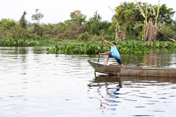 Diretrizes ambientais pautam ações do Governo de MS e definem Diretrizes ambientais pautam ações do Governo de MS e definem perfil dos investimentos no Estado