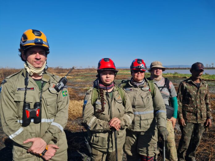 Ninho de tuiuiú e onça são monitorados por socorristas em Ninho de tuiuiú e onça são monitorados por socorristas em áreas de incêndios no Pantanal