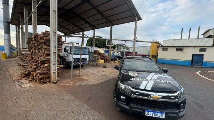 Polícia Civil incinera mais de 1 tonelada de drogas em Polícia Civil incinera mais de 1 tonelada de drogas em Iguatemi