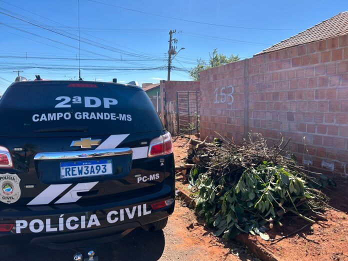 Polícia Civil, no âmbito da Operação Virtude, prende autor de Polícia Civil, no âmbito da Operação Virtude, prende autor de maus-tratos contra idoso em Campo Grande