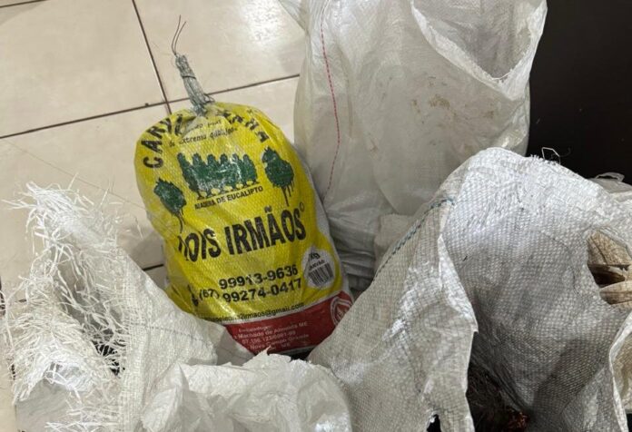 Polícia Civil prende autor de tráfico de drogas e receptação Polícia Civil prende autor de tráfico de drogas e receptação em Campo Grande