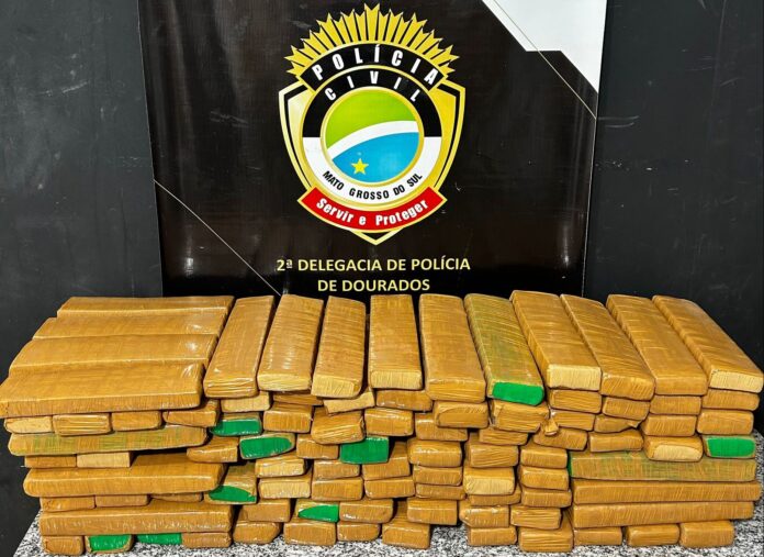 Polícia Civil prende homem com 95kg de maconha em Dourados Polícia Civil prende homem com 95kg de maconha em Dourados
