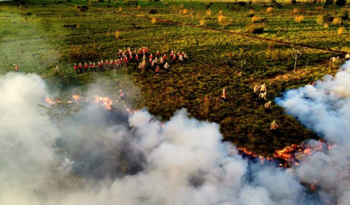 Treino de combate direto ao fogo qualifica novos soldados dos Treino de combate direto ao fogo qualifica novos soldados dos Bombeiros para atuar em incêndios florestais