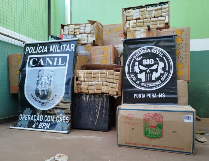 Polícia Civil e Militar apreendem quase duas toneladas de maconha Polícia Civil e Militar apreendem quase duas toneladas de maconha em Ponta Porã