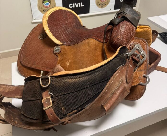 Polícia Civil esclarece furto e recupera duas selas avaliadas em Polícia Civil esclarece furto e recupera duas selas avaliadas em cinco mil reais em Ribas do Rio Pardo