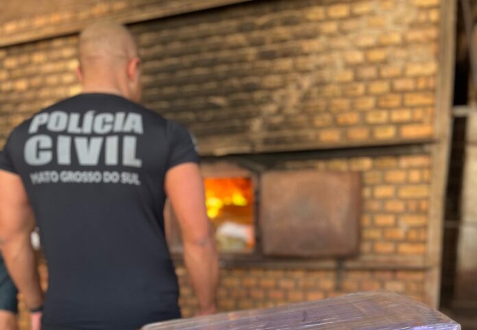 Polícia Civil incinera mais de 1.5 toneladas de entorpecentes em Vicentina