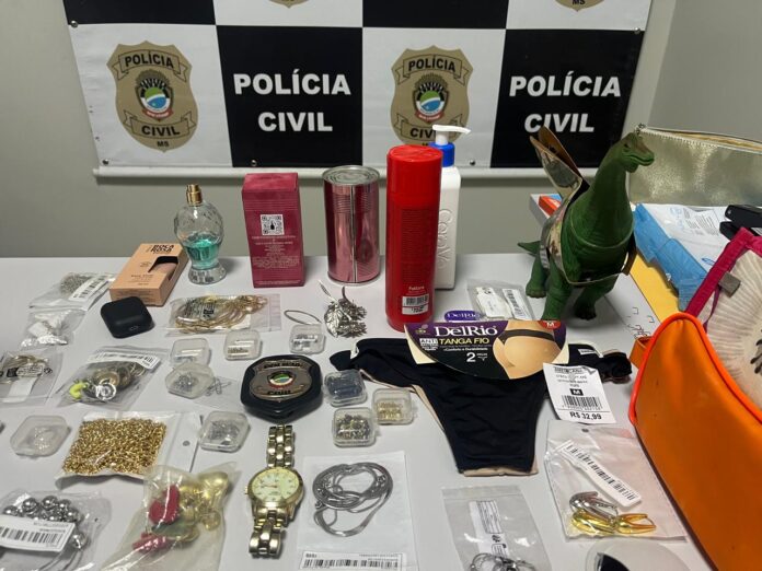 Polícia Civil prende autor de furto em Ribas do Rio Polícia Civil prende autor de furto em Ribas do Rio Pardo