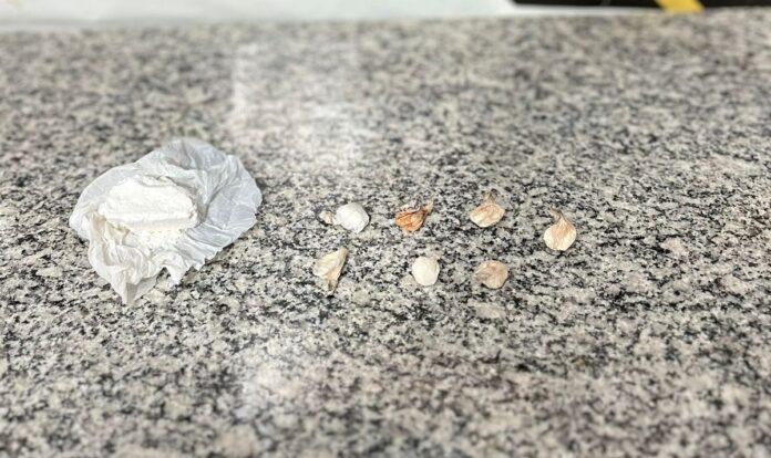 Polícia Civil prende em flagrante um dos principais distribuidores de Polícia Civil prende em flagrante um dos principais distribuidores de cocaína da região do Canaã I e jardim Piratininga em Dourados