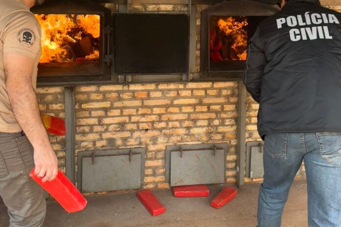 Polícia Civil realiza incineração de meia tonelada de maconha em Polícia Civil realiza incineração de meia tonelada de maconha em Juti