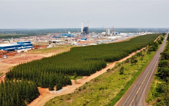 Soja e celulose puxam balança comercial de MS e exportações Soja e celulose puxam balança comercial de MS e exportações superam a marca de 5 bilhões de dólares no ano