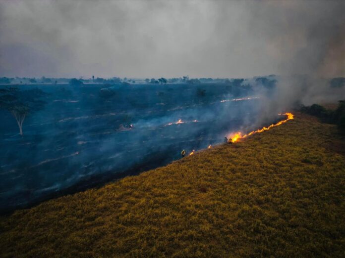 12c4bbcc-cd1d-4279-954c-678d901a9e11