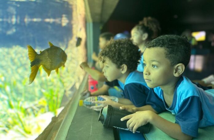 Bioparque Pantanal faz parte de tema de defesa de mestrado em ensino e ciências