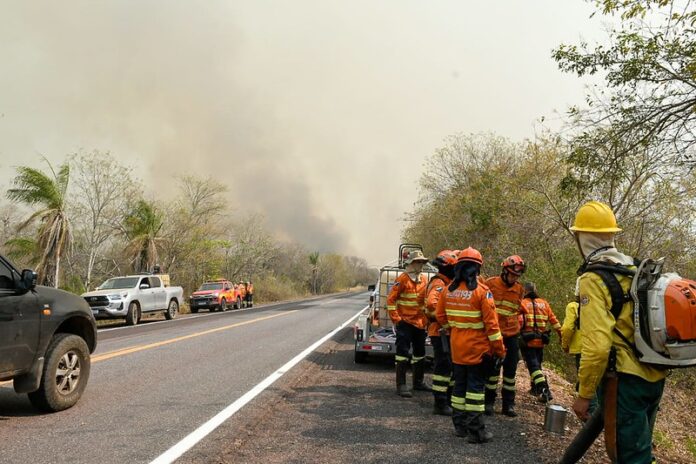 07.08.2024 Operação Pantanal BR 262 Município de Miranda MS Foto Bruno Rezende