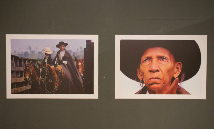 Dama da Viola, Helena Meirelles é homenageada com exposição historiográfica Dama da Viola, Helena Meirelles é homenageada com exposição historiográfica no MIS