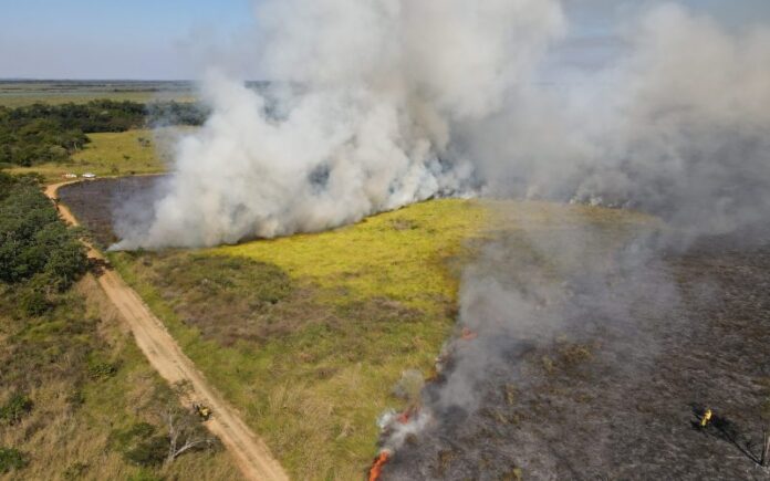MS se destaca como pioneiro na implementação do Manejo Integrado MS se destaca como pioneiro na implementação do Manejo Integrado do Fogo como prevenção a incêndios