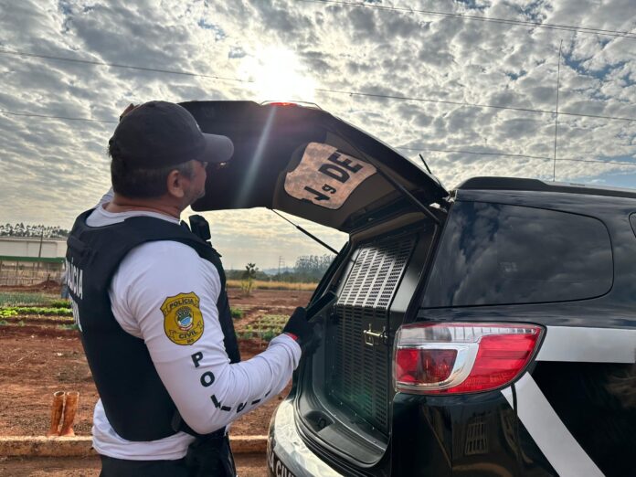 Polícia Civil deflagra operação “Mulheres em Foco” e cumpre mandados de prisão em Campo Grande