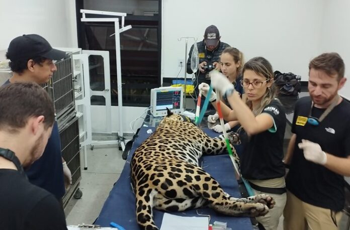 8E17E84F-C463-4D4D-9809-D16BA37F9A96